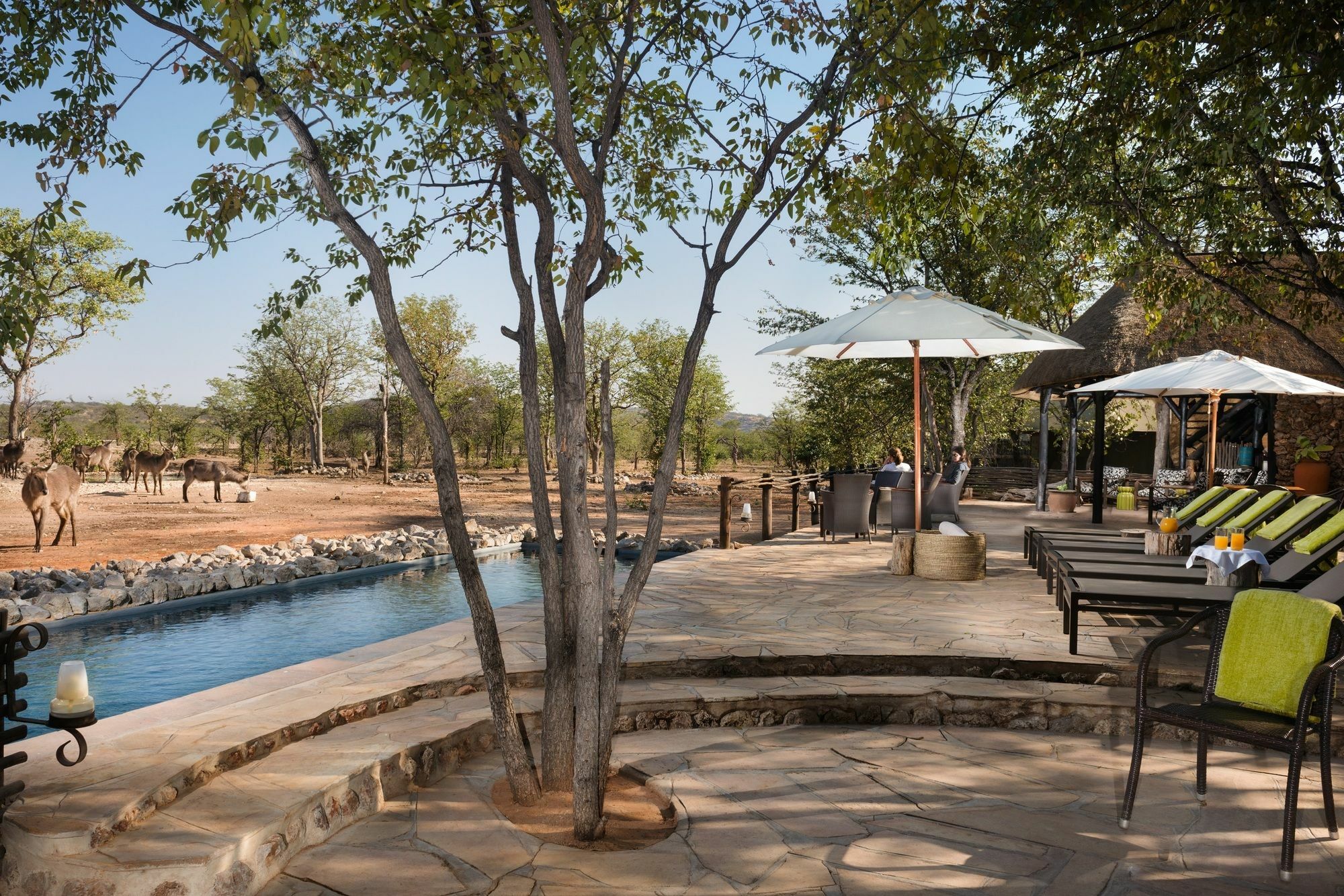 Ongava Tented Camp - All-Inclusive Okaukuejo Kültér fotó