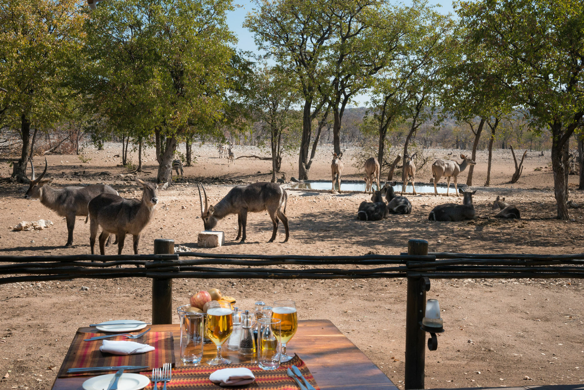 Ongava Tented Camp - All-Inclusive Okaukuejo Kültér fotó